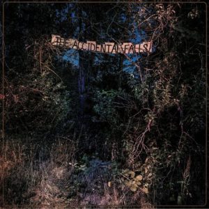 The Accidental Falls