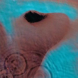 Meddle