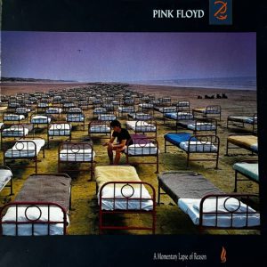 A Momentary Lapse Of Reason