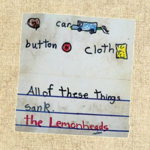 Car Button Cloth (Deluxe)