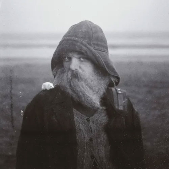 Role Model Hermit