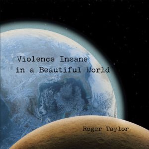 Violence Insane In A Beautiful World
