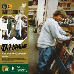 Endtroducing…